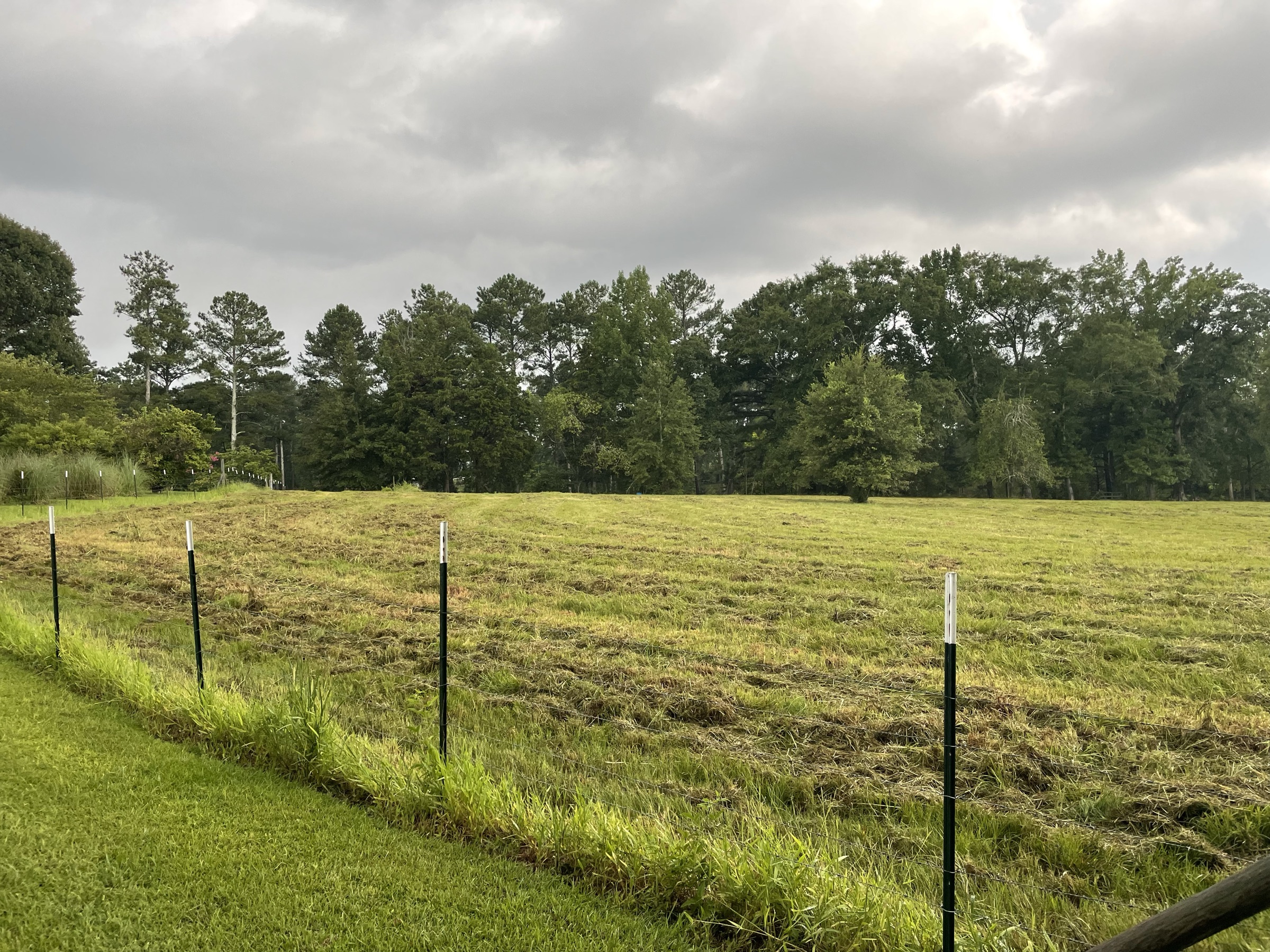 The pasture at Quaint Country Charmer